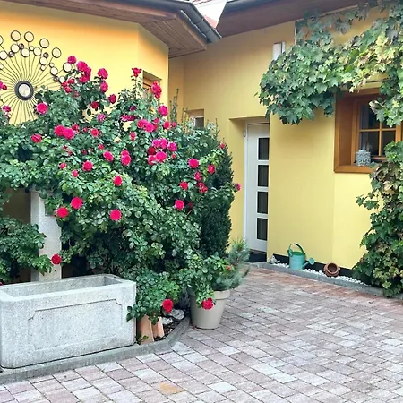 Innenhof Oase